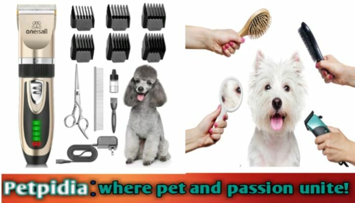 Top 5 Blades For Efficient And Safe Dog Grooming - Safety Dog Grooming Products